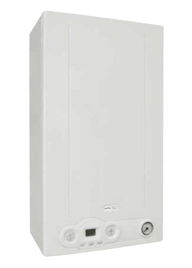 CALDERA MURAL DELFIS CTFS 24-AF BITERMIC 1