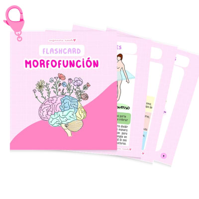 FLASHCARD MORFOFUNCION