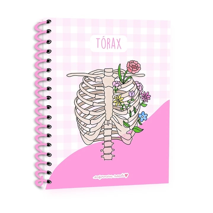 TOMA NOTA ANATOMY1