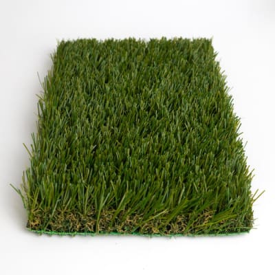 Pasto Ornamental Chance 40 MM