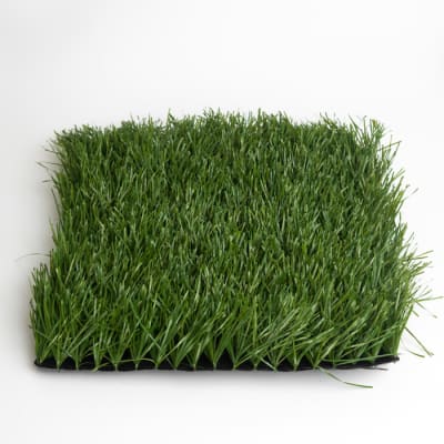 Pasto Fútbol Stemgrass