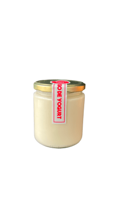 DELIZZI QUESO YOGURT