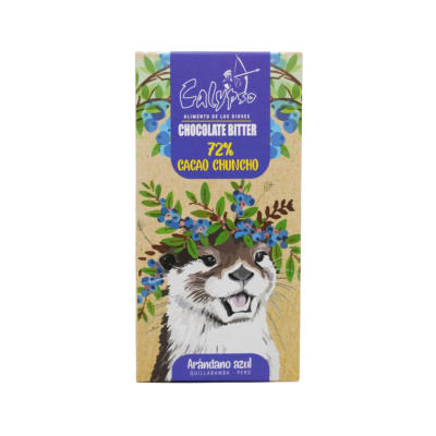 CHOCOLATE BITTER 72% CACAO ARÁNDANOS1