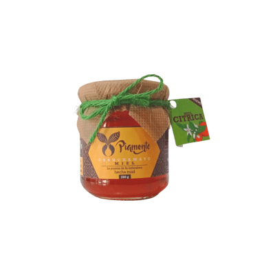 MIEL DE ABEJA CITRICA
