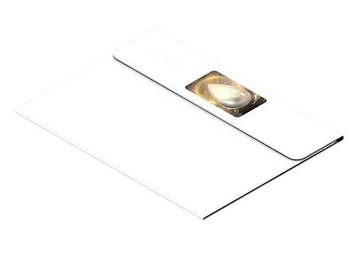 ETB Playmat Art Masters - Pearl by Chris Seaman2