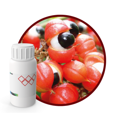 2G9971LX - SABOR GUARANA ENERGY