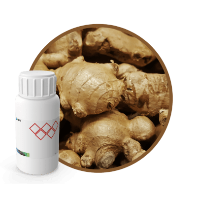 3J8482LX - SABOR JENGIBRE NATURAL