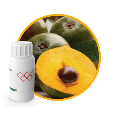 3L1013LX - SABOR LUCUMA