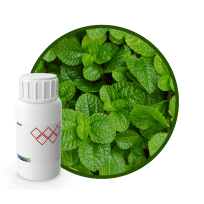 3M1047LX - SABOR MENTA