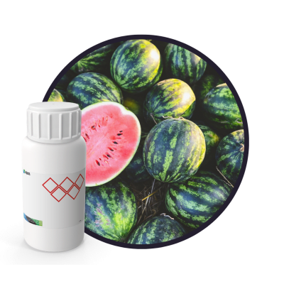 4E4539LX - SABOR SANDIA