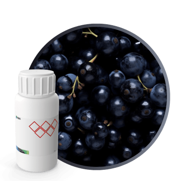 4G5380LX - SABOR CASSIS (GROSELLA) NATURAL