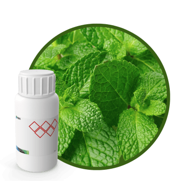 4M4641LX - SABOR MENTA NATURAL