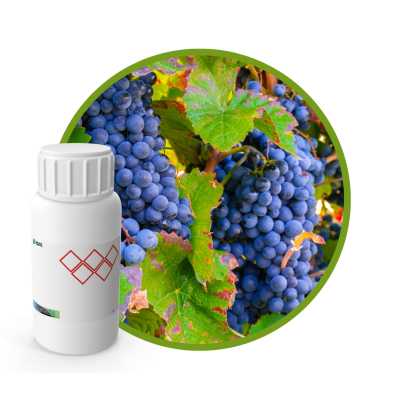 4U5322LX - SABOR UVA AMERICANA