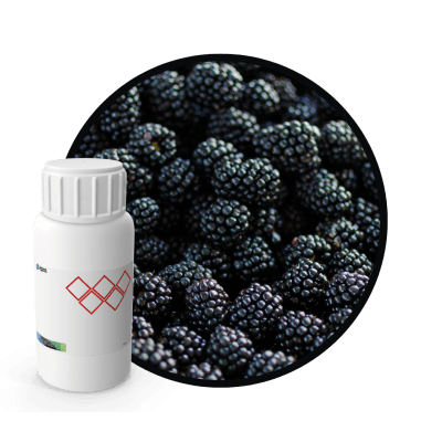 5M5236LX - SABOR MORA NATURAL