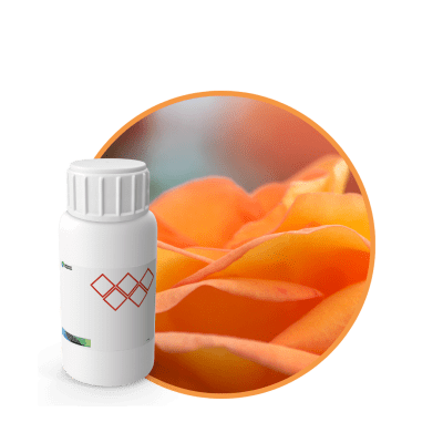 V7536218 - FRAGANCIA AMBER PETALS SOYCANDLE