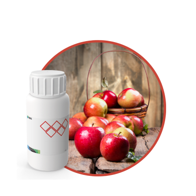 SC478844 - FRAGANCIA APPLE SOYCANDLE