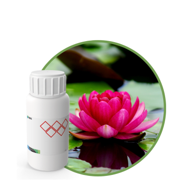 V9168718 - FRAGANCIA BLACK LOTUS SOYCANDLE