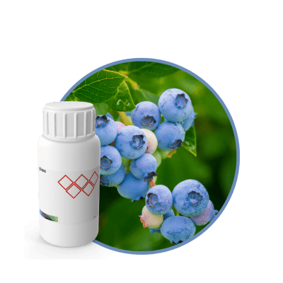 C6678218 - FRAGANCIA BLUEBERRY CARE