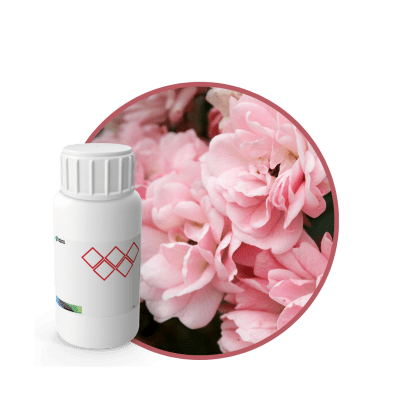 CR596118 - FRAGANCIA BULGARIAN ROSE AND OUD CARE SPA