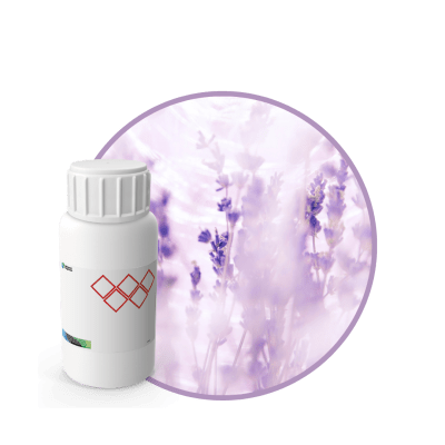 CC632218 - FRAGANCIA CAMPOS DE LAVANDA INTENSE