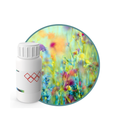 V7173518 - FRAGANCIA CANELA FLORIDA MYSTIC