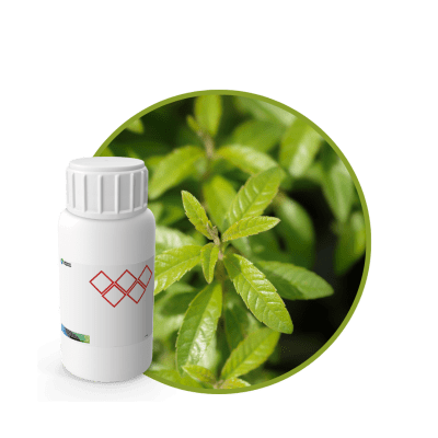 V0813718 - FRAGANCIA CEDRON CARE