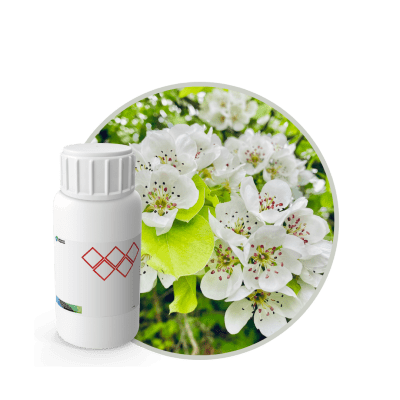V1243018 - FRAGANCIA CRYSTAL SOYCANDLE