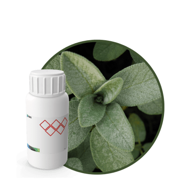 V0454818 - FRAGANCIA CYRUS SOYCANDLE