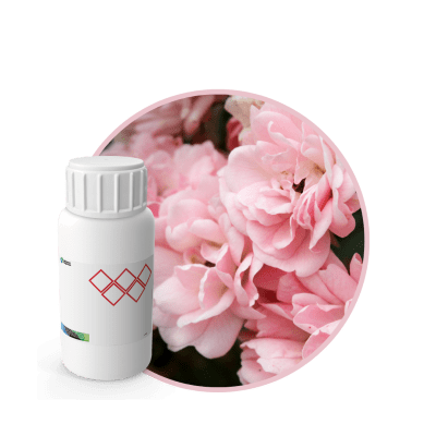 CR556718 - FRAGANCIA DIVINE CARE SPA