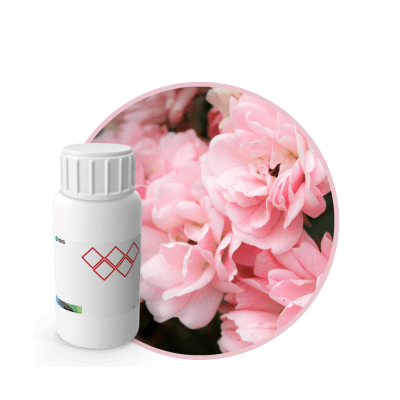 V0445718 - FRAGANCIA EAU DE SOLEIL EF