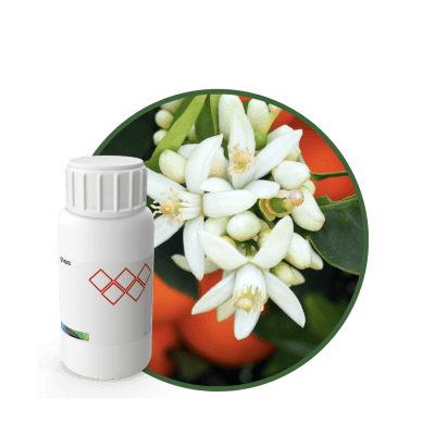 SC547644 - FRAGANCIA ELIXIR SOYCANDLE