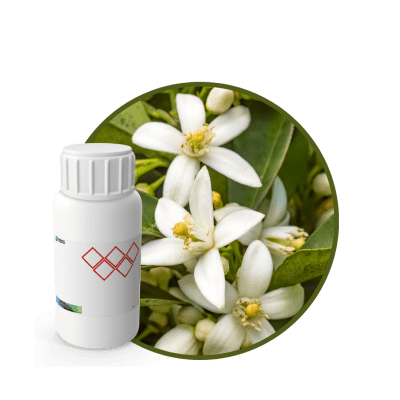 CC645018 - FRAGANCIA ENGLISH CARE