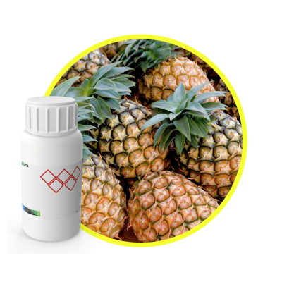 3P203400 - SABOR PIÑA NATURAL