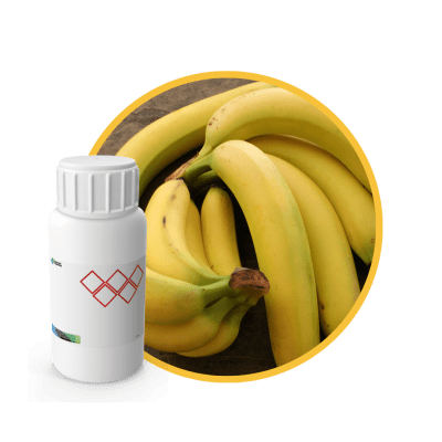 P37768LX - SABOR PLATANO NATURAL