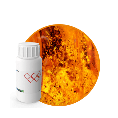 AR583644 - FRAGANCIA ETERNAL AIR