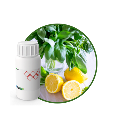 SC548744 - FRAGANCIA ÉTERNEL SOYCANDLE