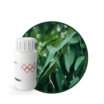 V9851618 - FRAGANCIA EUCALYPTUS CARE