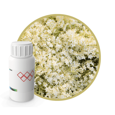 F59606LX - SABOR FLOR DE SAUCO NATURAL