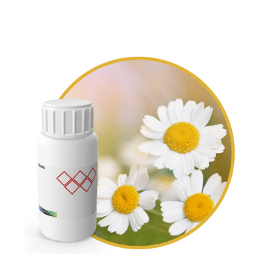 Z2642618 - FRAGANCIA FLOWER LOVE AIR