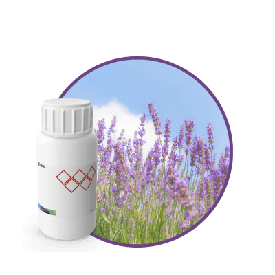V3440718 - FRAGANCIA FRESH LAVENDER CARE