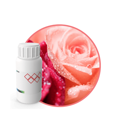 V2959718 - FRAGANCIA FRESH ROSE AIR