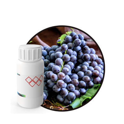 V5935718 - FRAGANCIA FUNNY FRUITS BLOCKAIR
