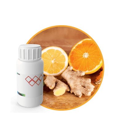 SC497844 - FRAGANCIA GINGER SOYCANDLE