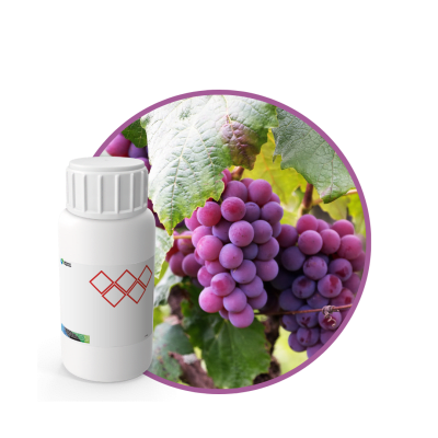 AC661418 - FRAGANCIA GRAPE CARE