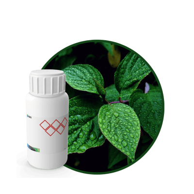 AC655418 - FRAGANCIA GREEN RELAX