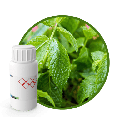 H52512LX - SABOR HIERBA BUENA NATURAL