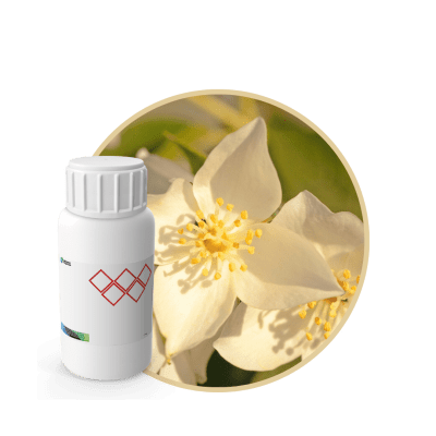 Z0327318 - FRAGANCIA ICY GREEN AIR