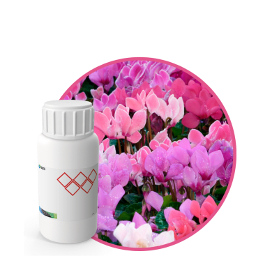 V8826318 - FRAGANCIA IPANEMA CAR INTENSE