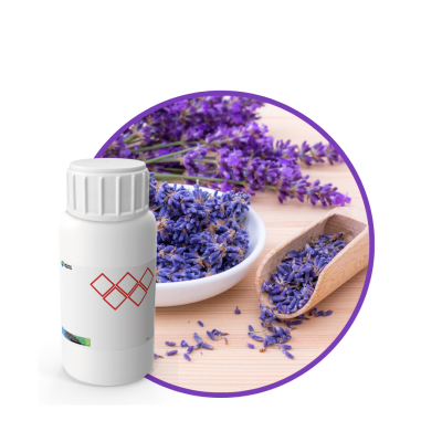 AR588544 - FRAGANCIA KINGDOM AIR