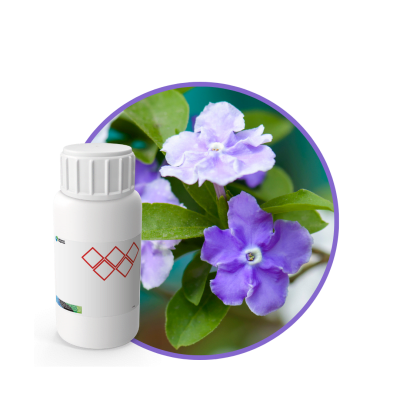 SC548544 - FRAGANCIA LA FÉMINITÉ SOYCANDLE